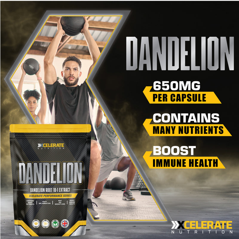 XCelerate Nutrition Dandelion Root Capsules