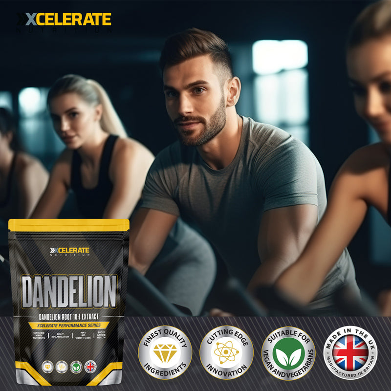 XCelerate Nutrition Dandelion Root Capsules